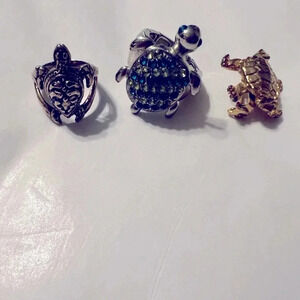 Bundle of rings and a pin